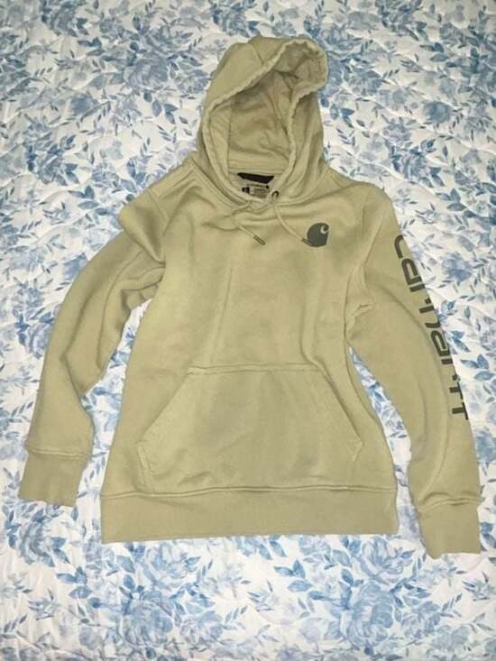 Carhartt Tops - Carhartt Women's Relaxed Fit Clarksburg Logo Sleeve Hoodie in Flaxseed